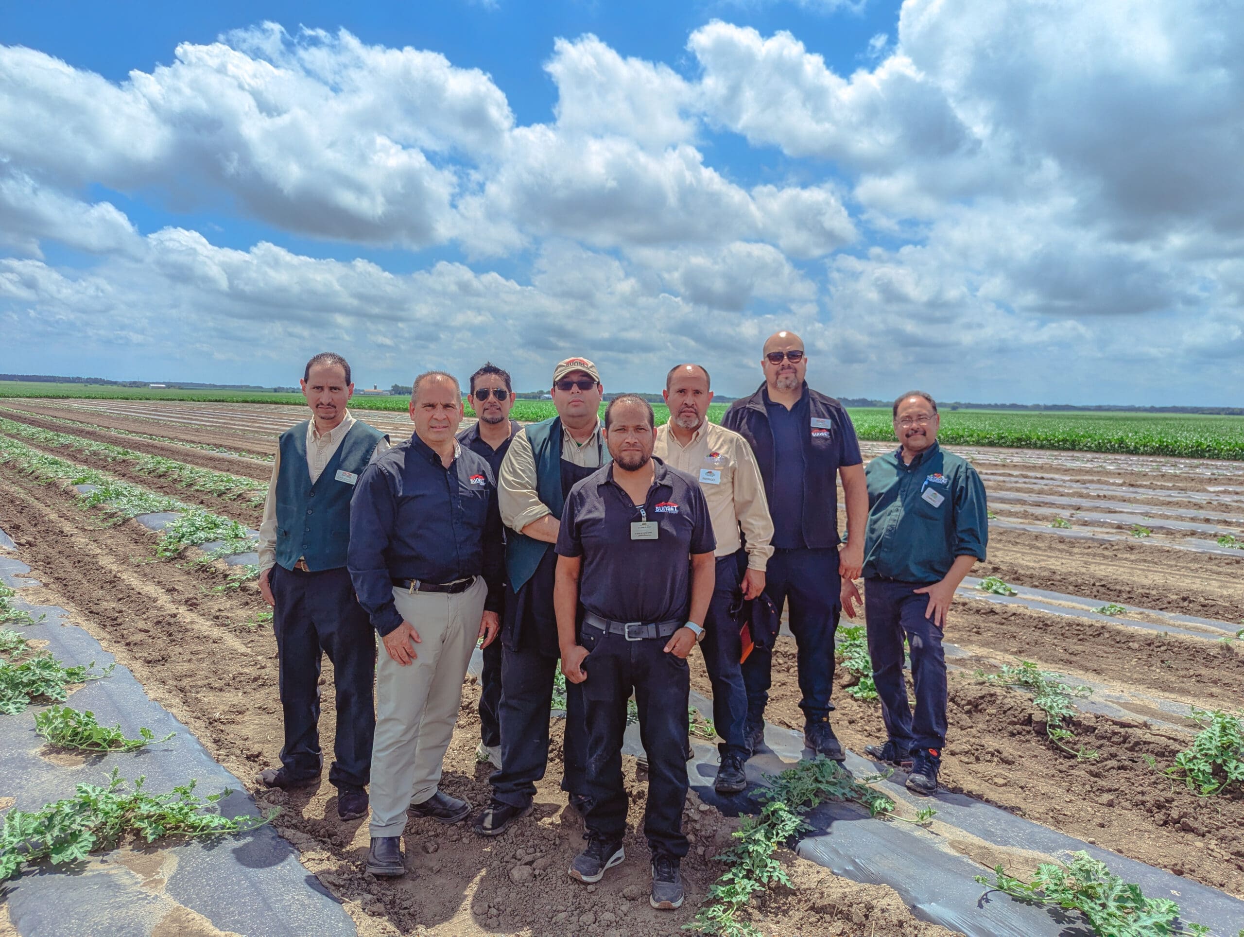 A field of fresh produce at Von Bergen's Family Farm in Hebron, IL.